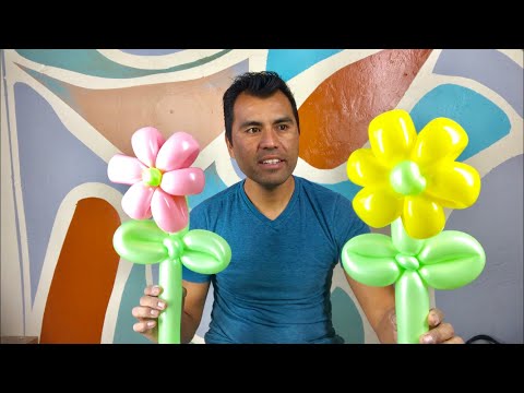 Video: ¿Cómo hacer crecer una flor de globo?