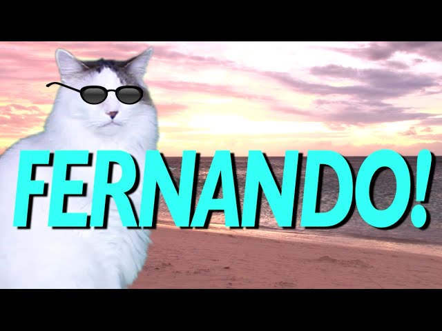 HAPPY BIRTHDAY FERNANDO! - EPIC CAT Happy Birthday Song