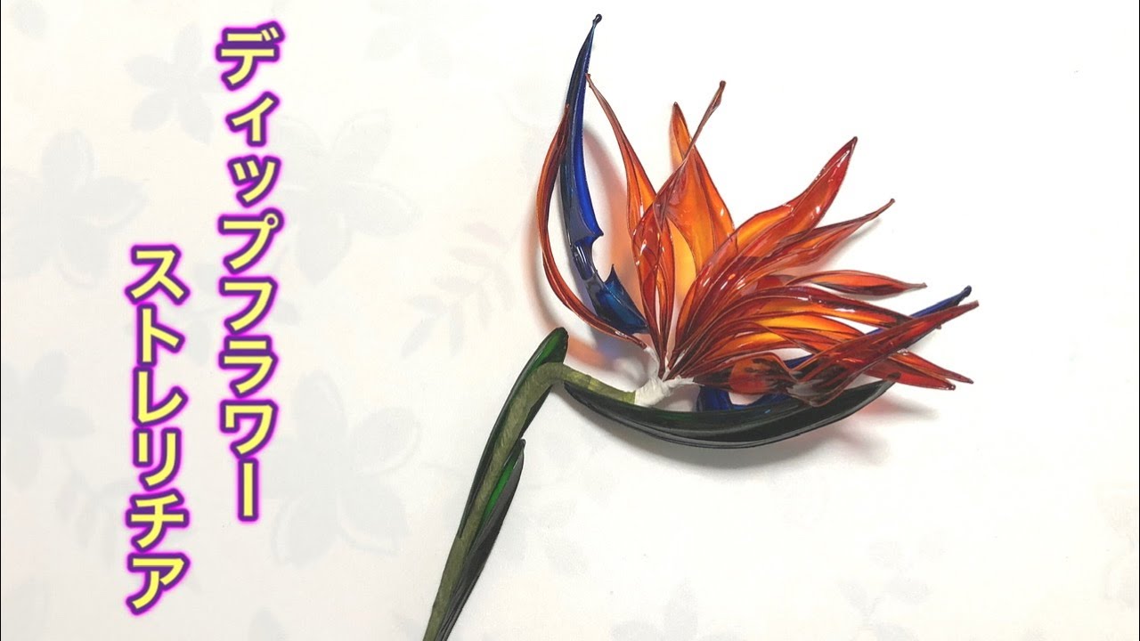 ストレリチア とフォックスフェイスのデイップフラワー 241 #ディップフラワー ストレリチアを作ってみました
