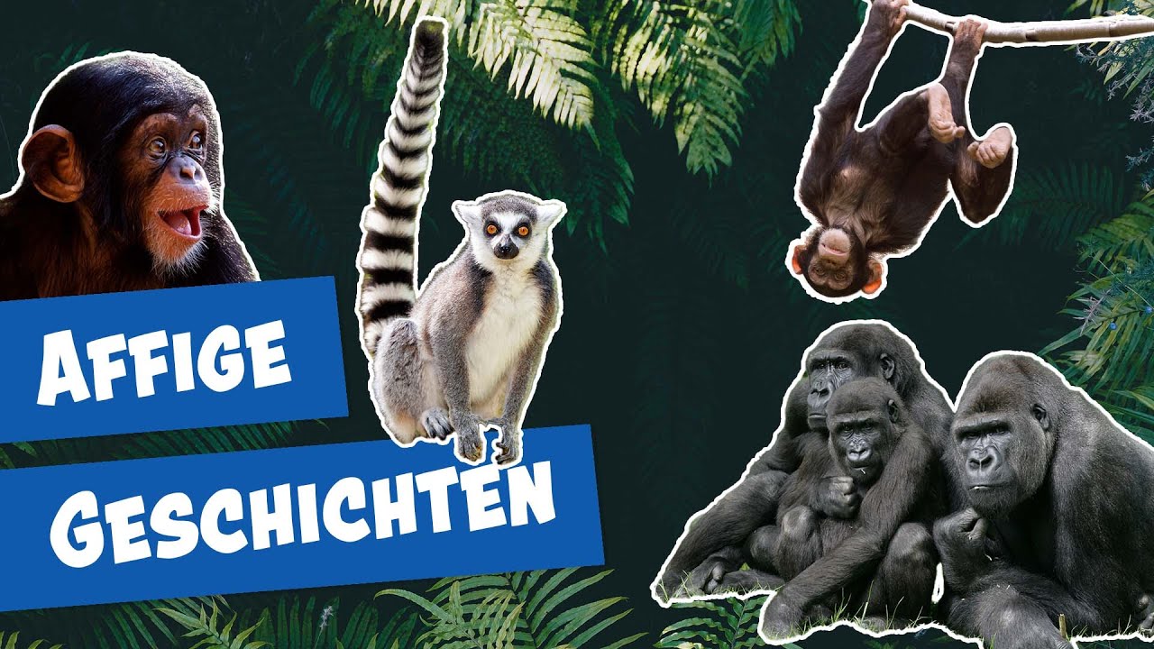 Zoo Leipzig - Der beste Zoo Deutschlands? | Zoo-Eindruck