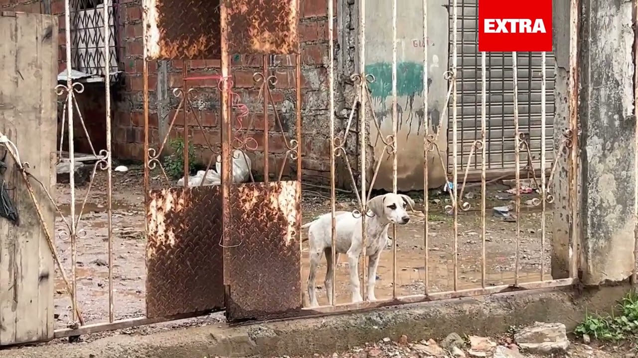 En Durán, dos hermanos fueron obligados a arrodillarse antes de ser acabar con ellos