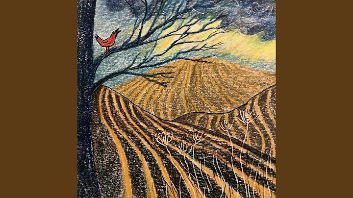 Little Bird