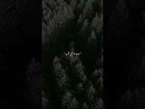 سميني عاشق مجنون محمود التركي