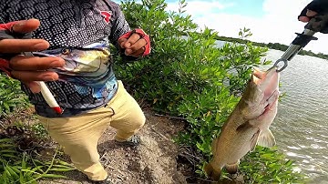 Khám Phá Đầm Dơi Cà Mau -  Câu Cá Cùng Anh Em