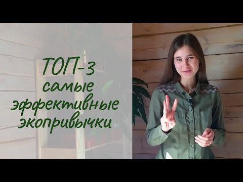 Как жить экологично | Любимые привычки эколога💚 Топ-3 самые эффективные экопривычки