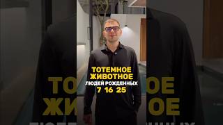 Тотемное животное людей-семёрок | Валерий Якубцевич #нумерология