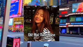 Irmawan ss ( Cha_Cha Dil Hai Tum Hara )( Rimex ) New 2023