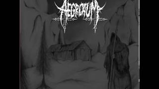 Aegrotum - Pilgrim to Total Negation