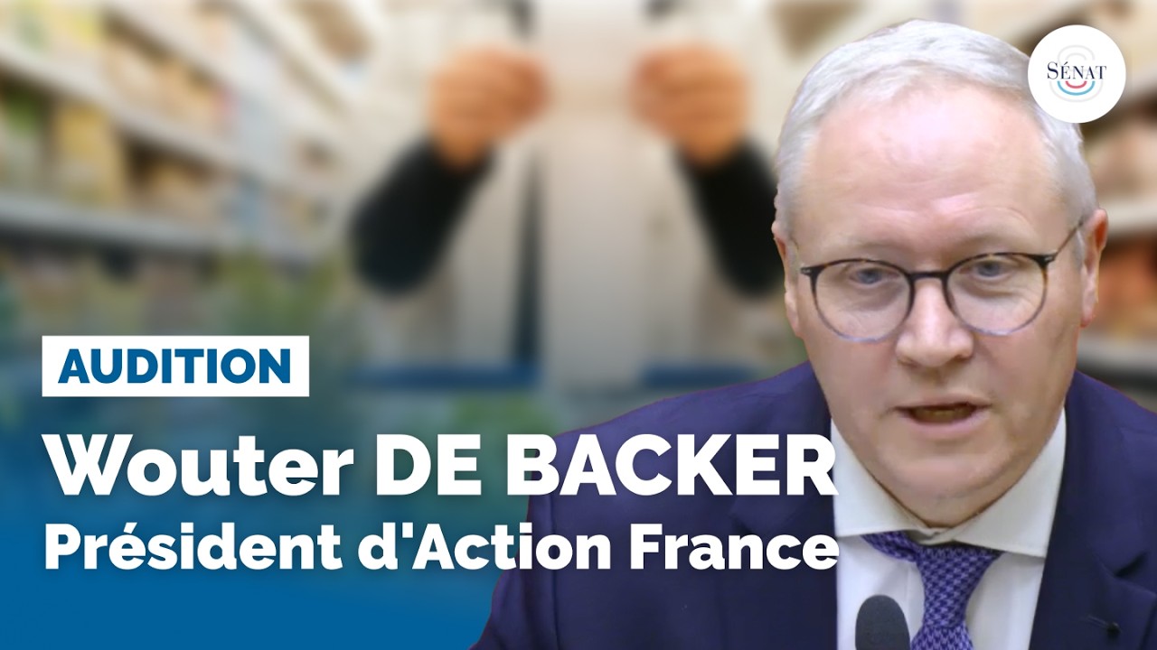 Marges de la grande distribution : audition de Wouter De Backer