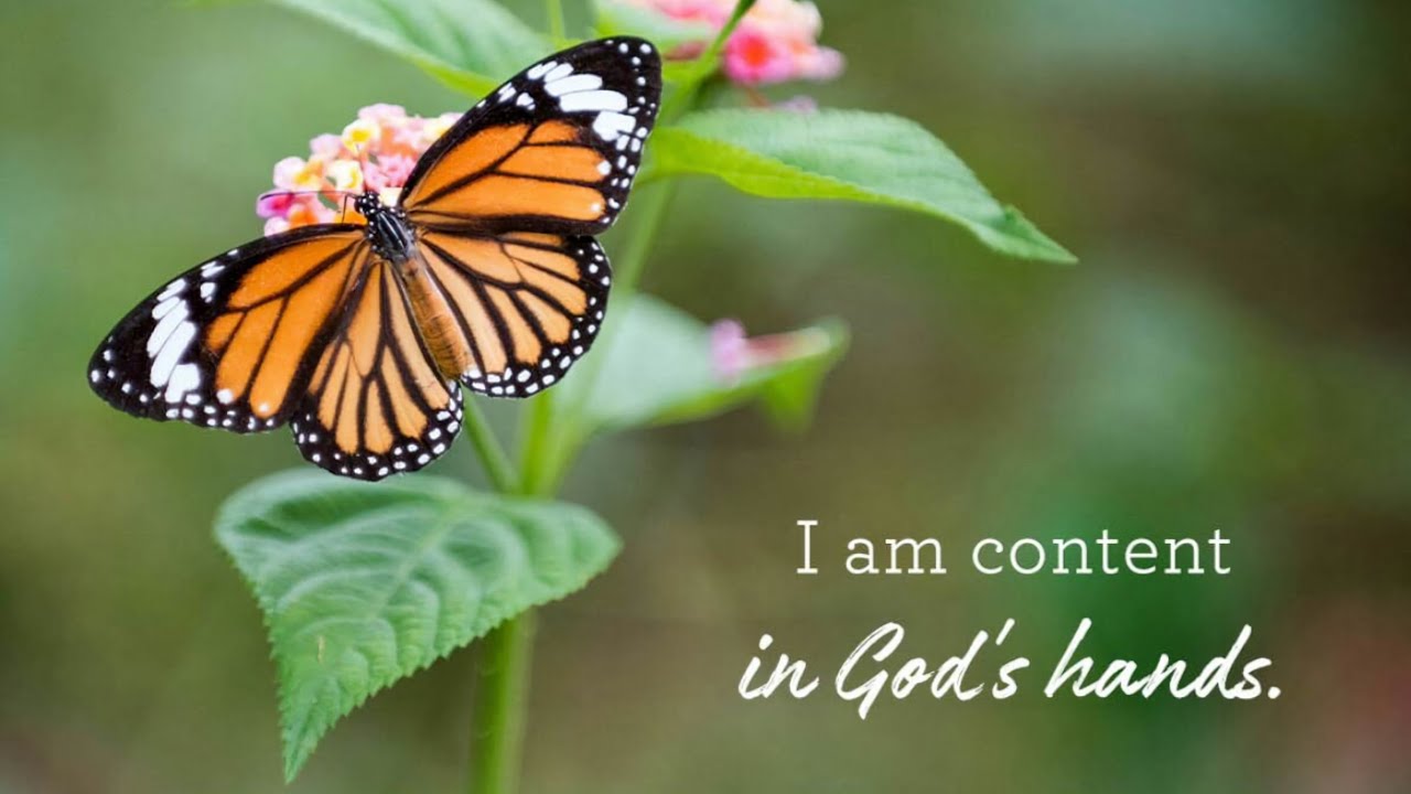 Early Morning Prayer Requests devotions Scripture Today Psalm 131 early-morning-prayer-requests-devotions-scripture-today-psalm-131
