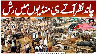 Mandi Situation After Eid ul Adha 2026 Moon Sighting