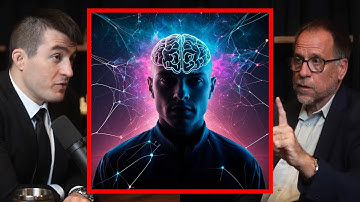 How You Can Achieve Peak Performance (With The Flow State) | Lex Fridman and John Vervaeke