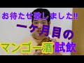 【味見シリーズ始めます】一ヶ月目のアップルマンゴー酒を試飲します!!