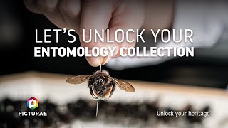 Picturae - Let's Unlock Your Entomology. A Digital Revolution. screenshot 2