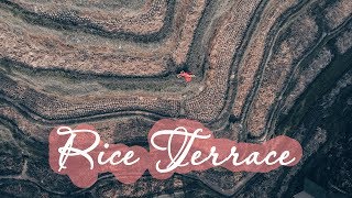 Рисовые террасы на Бали. Съемка с дрона dji mavic air