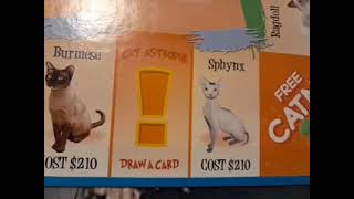 Cat-Opoly: What's inside?