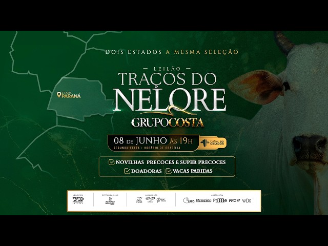 LOTE 31   GCGC 504