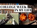 college week in my life: pumpkin carving, self care, getting things done