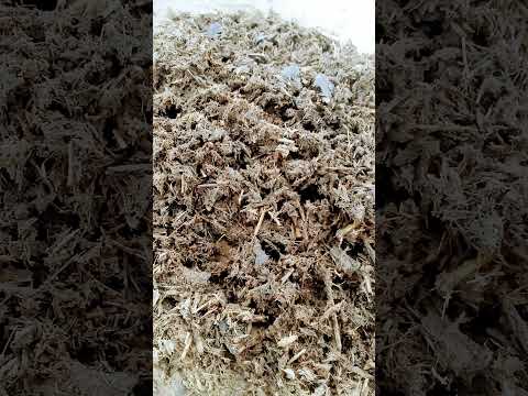 اكتشاف خطير المارد الذي يكون في فلام علادين هذا ماتم العمل عليه