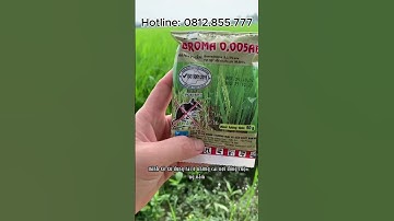 ✅ THUỐC DIỆT CHUỘT BROMA – CÔNG NGHỆ SINH HỌC, DIỆT SẠCH TẬN GỐC!