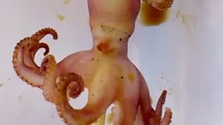 Baked octopus