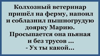 Ветеринар на ферме соблазнил доярку.   Сборник весёлых анекдотов