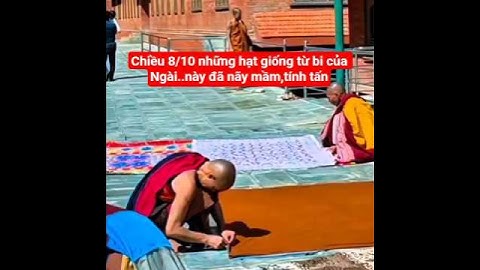 chiều 8/10 những hạt giống từ bi của Ngài,này đã nãy mầm#suminhtue #shortvideo