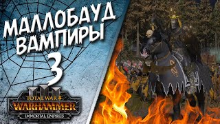 Total War: Warhammer 3 - (Легенда) - Вампиры | Маллобауд #3 The Old World