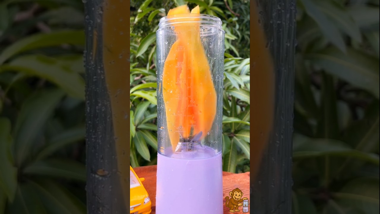 Making Papaya Milk Shake in a Portable Blender !!! 