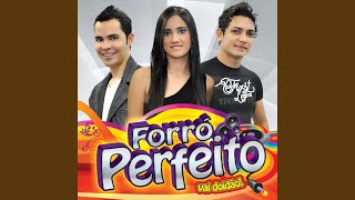 Video thumbnail of "Forró Perfeito - Paraíso"