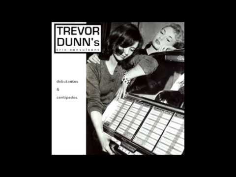 Trevor Dunn's Trio Convulsant - Equation of the found object (Debutantes & Centipedes)