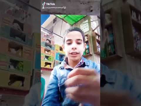 بساتین ببر ام سلطان شارع السواقین 2