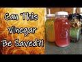 Another Vinegar Q and A