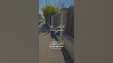 تلاوة خاشعة لآيات من كتاب الله #القرآن_الكريم #القرآن #الله #اكسبلور #foryou #راحة_نفسية #viral #fyp