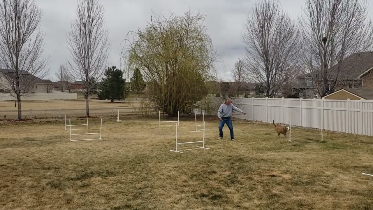 Alex Siskin Elite Jumpers1  4 24 22