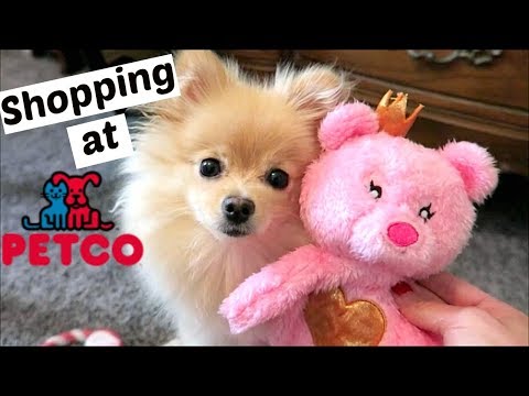 puppy feeding tube petco