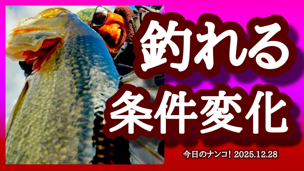 【今日のナンコ！2025.12.28】釣れる条件変化【琵琶湖バス釣り】