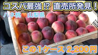 In Search of B-Grade Peaches🍑 Yamanashi Prefecture ④