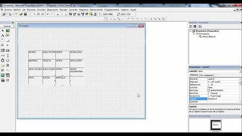 Visual Basic 6 0   Manejo de Colores
