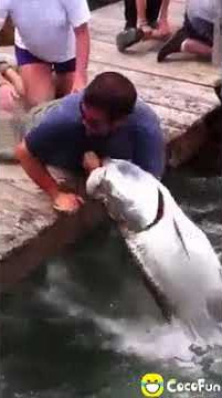 #cocofun# cara memancing yang unik...langsung dapat ikan