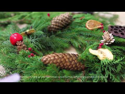 Video: Pasidaryk pats Kalėdinis vainikas: vainikų kūrimas iš amžinai žaliuojančių šakų