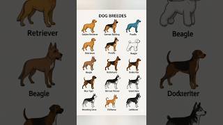 15 Different Types Dog Breeds Collection With Pictures #Dogsbreeds #Names #Englishwords #Dogs #Cats