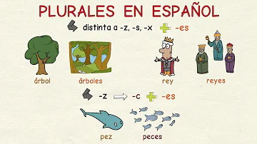 ¿Cómo se hace o plural?