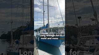 What Sellers Hope You Miss on Sailboats