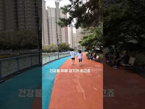 #shorts 창원 용지호수 풍경, 오랜만에 만나본 창원 용지호수 풍경입니다, 밤풍경이 더욱 아름다운 곳인데 조금은 아쉽지만 그리운 남쪽 모습입니다.