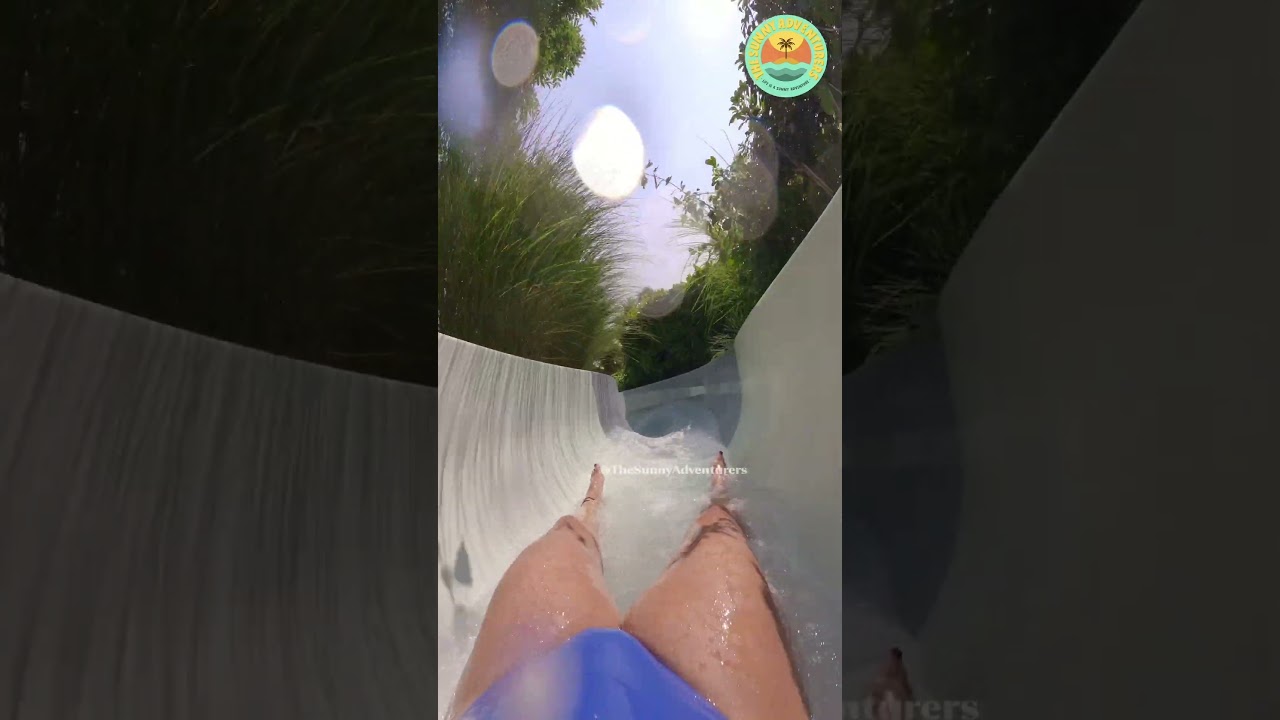 wild river in the woods