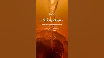 سورة النساء الآية الاخيرة #اكسبلور #القزابري #دويتو #الرحمن #راحة_نفسية#duet #المصحف#حالات_واتس#قرآن