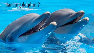Unbillable Dolphin Is Dancing Its Really? L Keya Sach Mey Dolphin Dance Kar Rahi Hey Keya