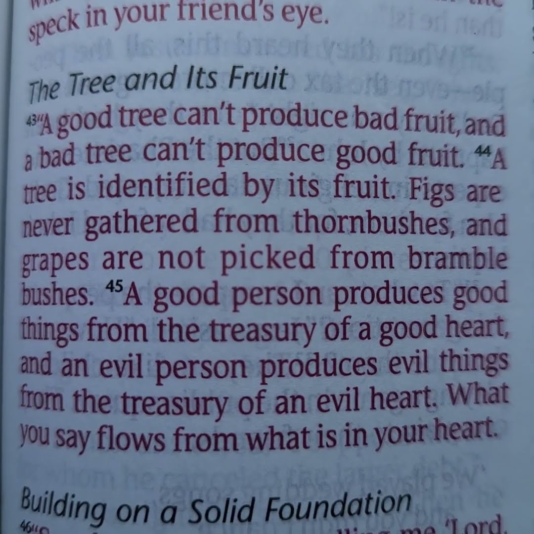 luke-6-43-45-nlt-scripturetruth-fruit-love-youtube