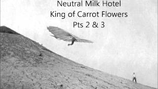 Neutral Milk Hotel  King Carrot Flowers Pts 2 & 3